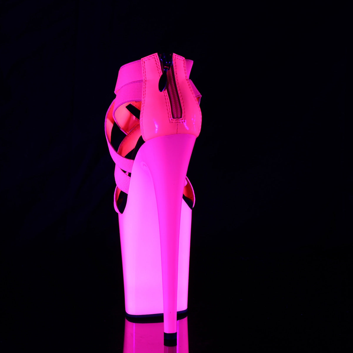 【PLEASER】FLAMINGO-869UV シューズ Neon H. Pink Elastic Band-Pat/Neon H. Pink【取寄】